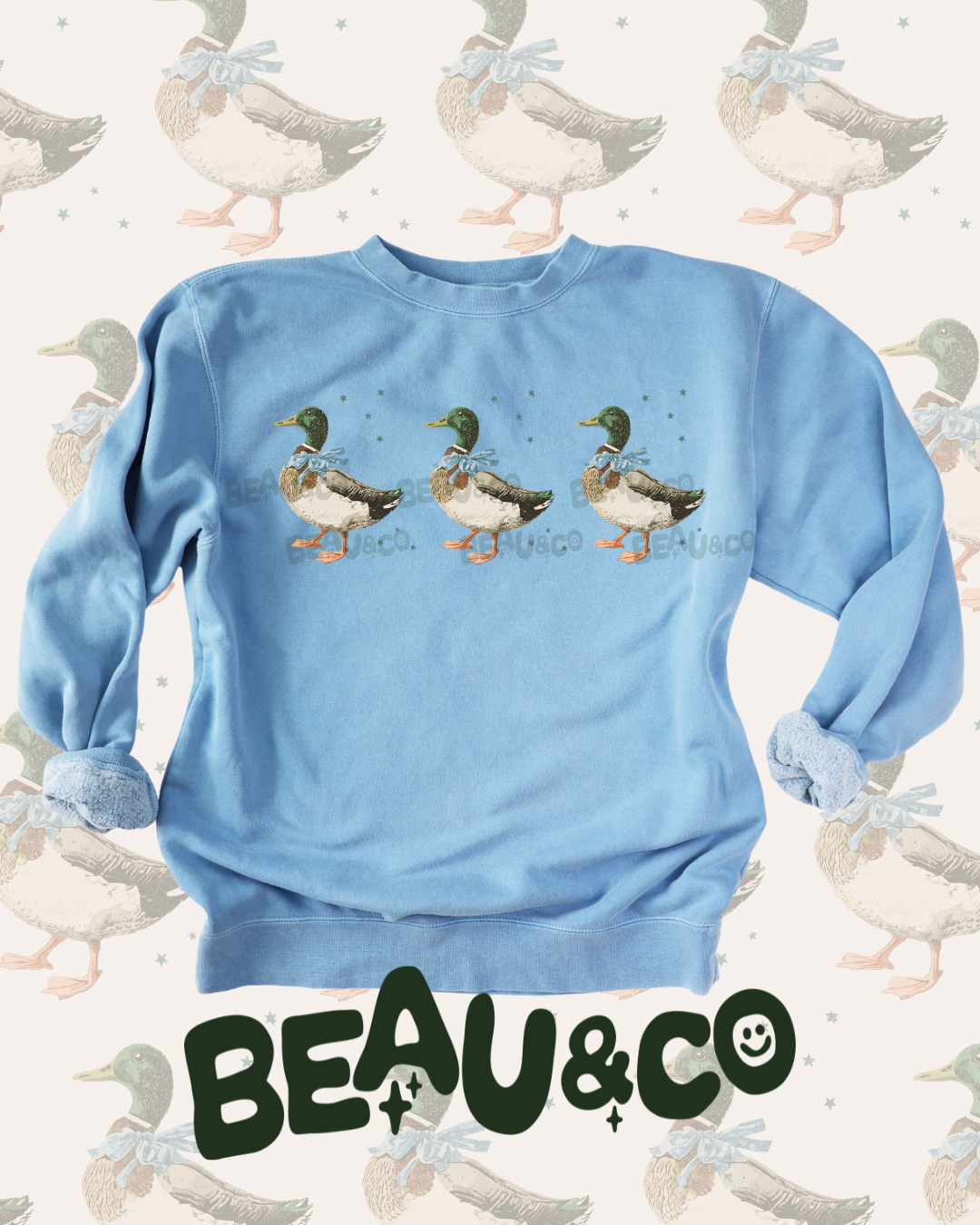 DUCKS IN A ROW - SWEATSHIRT