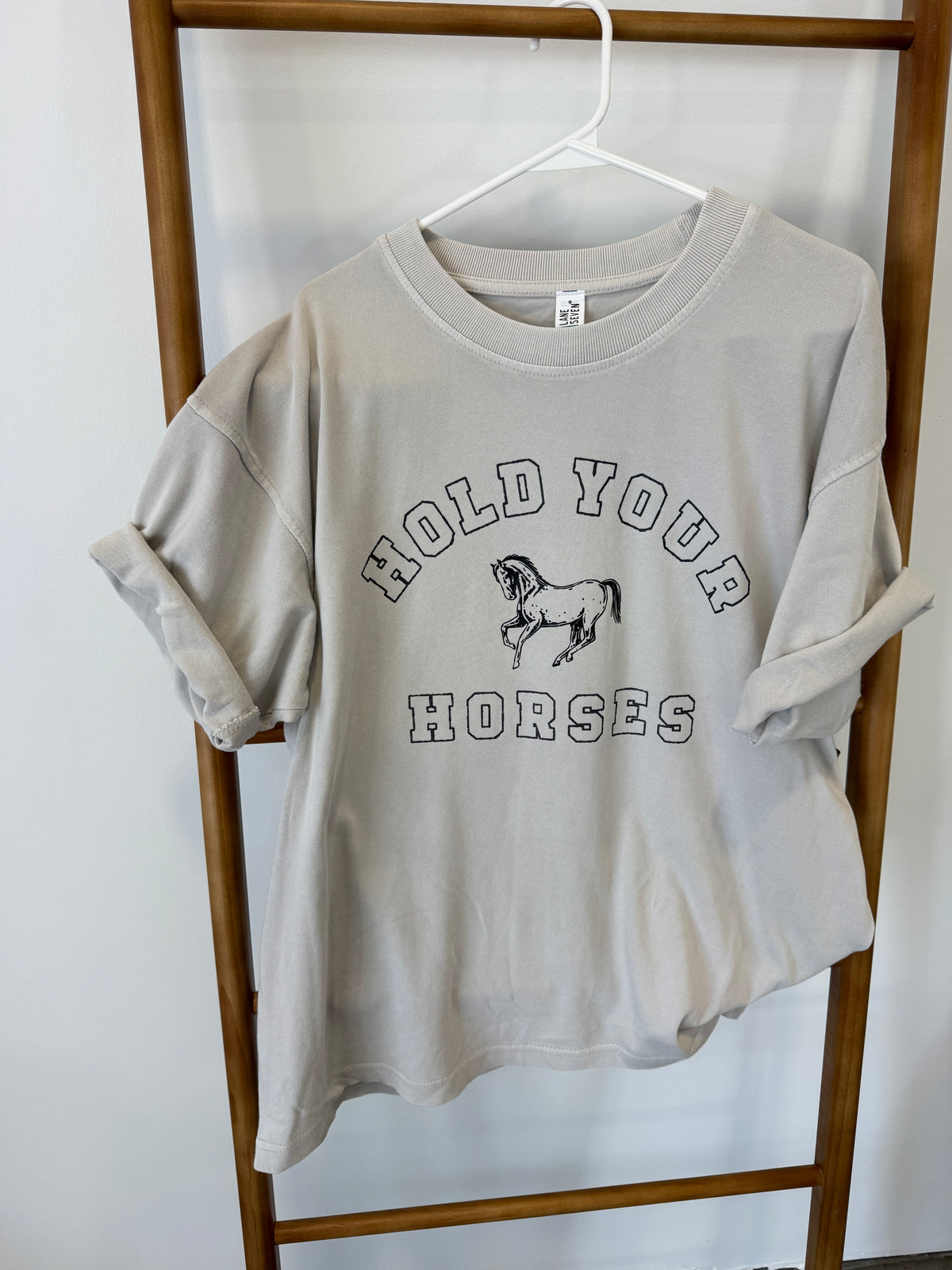 HOLD YOUR HORSES - PREMIUM TSHIRT